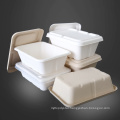 Disposable Biodegradable Eco Sugarcane Bagasse Paper Food Container Tray